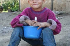 Project_Nagybereg_image017