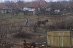 Project_Valea_Lui_Mihai_image046